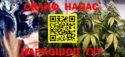 спиды Гусев