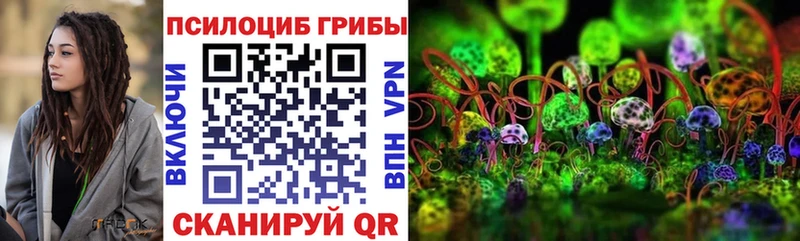 shop как зайти Добрянка Псилоцибиновые грибы Magic Shrooms сколько стоит