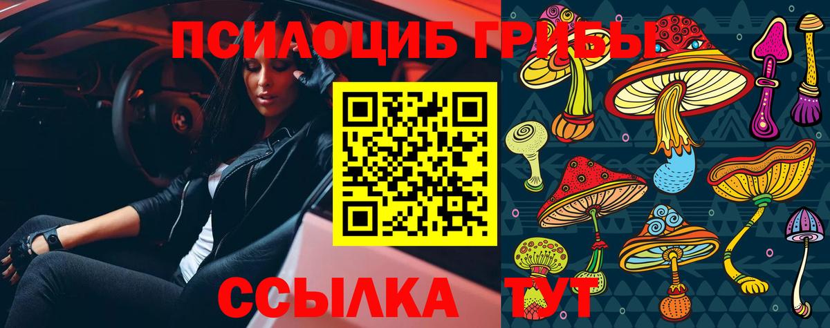 Галлюциногенные грибы Psilocybine cubensis  Вход с VPN  Добрянка 